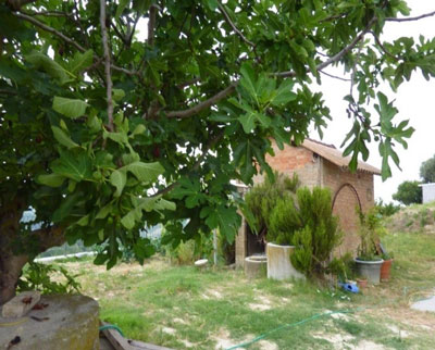 casotto